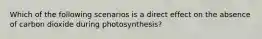 Which of the following scenarios is a direct effect on the absence of carbon dioxide during photosynthesis?