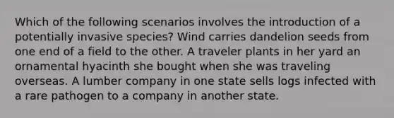 Which of the following scenarios involves the introduction of a potentially invasive species? Wind carries dandelion seeds from one end of a field to the other. A traveler plants in her yard an ornamental hyacinth she bought when she was traveling overseas. A lumber company in one state sells logs infected with a rare pathogen to a company in another state.