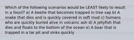 Which of the following scenarios would be LEAST likely to result in a fossil? a) A beetle that becomes trapped in tree sap b) A snake that dies and is quickly covered in soft mud c) humans who are quickly buried alive in volcanic ash d) A jellyfish that dies and floats to the bottom of the ocean e) A boar that is trapped in a tar pit and sinks quickly