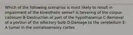 Which of the following scenarios is most likely to result in impairment of the kinesthetic sense? A-Severing of the corpus callosum B-Destruction of part of the hypothalamus C-Removal of a portion of the olfactory bulb D-Damage to the cerebellum E-A tumor in the somatosensory cortex