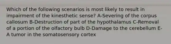 Which of the following scenarios is most likely to result in impairment of the kinesthetic sense? A-Severing of the corpus callosum B-Destruction of part of the hypothalamus C-Removal of a portion of the olfactory bulb D-Damage to the cerebellum E-A tumor in the somatosensory cortex