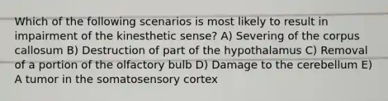 Which of the following scenarios is most likely to result in impairment of the kinesthetic sense? A) Severing of the corpus callosum B) Destruction of part of the hypothalamus C) Removal of a portion of the olfactory bulb D) Damage to the cerebellum E) A tumor in the somatosensory cortex