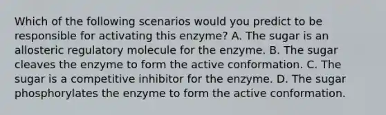 Which of the following scenarios would you predict to be responsible for activating this enzyme? A. The sugar is an allosteric regulatory molecule for the enzyme. B. The sugar cleaves the enzyme to form the active conformation. C. The sugar is a competitive inhibitor for the enzyme. D. The sugar phosphorylates the enzyme to form the active conformation.