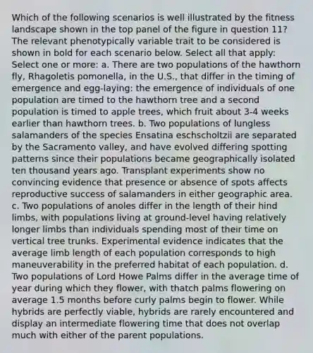 Which of the following scenarios is well illustrated by the fitness landscape shown in the top panel of the figure in question 11? The relevant phenotypically variable trait to be considered is shown in bold for each scenario below. Select all that apply: Select one or more: a. There are two populations of the hawthorn fly, Rhagoletis pomonella, in the U.S., that differ in the timing of emergence and egg-laying: the emergence of individuals of one population are timed to the hawthorn tree and a second population is timed to apple trees, which fruit about 3-4 weeks earlier than hawthorn trees. b. Two populations of lungless salamanders of the species Ensatina eschscholtzii are separated by the Sacramento valley, and have evolved differing spotting patterns since their populations became geographically isolated ten thousand years ago. Transplant experiments show no convincing evidence that presence or absence of spots affects reproductive success of salamanders in either geographic area. c. Two populations of anoles differ in the length of their hind limbs, with populations living at ground-level having relatively longer limbs than individuals spending most of their time on vertical tree trunks. Experimental evidence indicates that the average limb length of each population corresponds to high maneuverability in the preferred habitat of each population. d. Two populations of Lord Howe Palms differ in the average time of year during which they flower, with thatch palms flowering on average 1.5 months before curly palms begin to flower. While hybrids are perfectly viable, hybrids are rarely encountered and display an intermediate flowering time that does not overlap much with either of the parent populations.