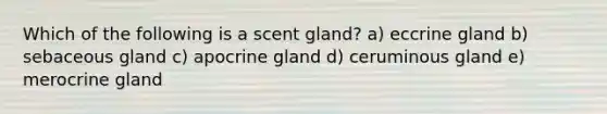 Which of the following is a scent gland? a) eccrine gland b) sebaceous gland c) apocrine gland d) ceruminous gland e) merocrine gland