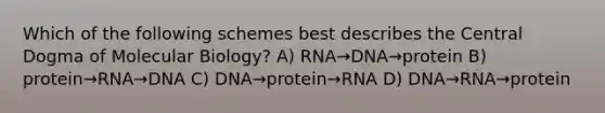 Which of the following schemes best describes the Central Dogma of Molecular Biology? A) RNA→DNA→protein B) protein→RNA→DNA C) DNA→protein→RNA D) DNA→RNA→protein