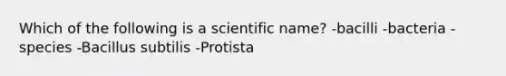 Which of the following is a scientific name? -bacilli -bacteria -species -Bacillus subtilis -Protista