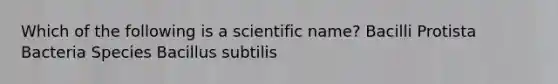 Which of the following is a scientific name? Bacilli Protista Bacteria Species Bacillus subtilis