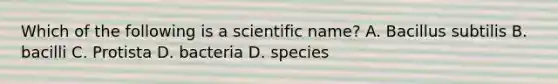 Which of the following is a scientific name? A. Bacillus subtilis B. bacilli C. Protista D. bacteria D. species