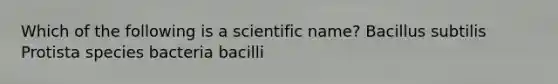 Which of the following is a scientific name? Bacillus subtilis Protista species bacteria bacilli