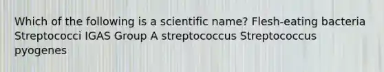 Which of the following is a scientific name? Flesh-eating bacteria Streptococci IGAS Group A streptococcus Streptococcus pyogenes