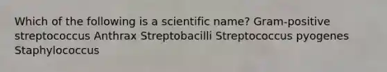 Which of the following is a scientific name? Gram-positive streptococcus Anthrax Streptobacilli Streptococcus pyogenes Staphylococcus