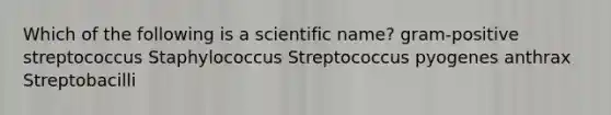 Which of the following is a scientific name? gram-positive streptococcus Staphylococcus Streptococcus pyogenes anthrax Streptobacilli