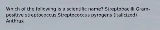 Which of the following is a scientific name? Streptobacilli Gram-positive streptococcus Streptococcus pyrogens (italicized) Anthrax