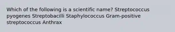 Which of the following is a scientific name? Streptococcus pyogenes Streptobacilli Staphylococcus Gram-positive streptococcus Anthrax