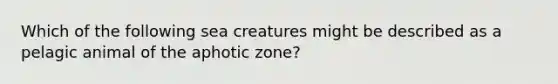 Which of the following sea creatures might be described as a pelagic animal of the aphotic zone?