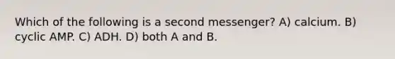 Which of the following is a second messenger? A) calcium. B) cyclic AMP. C) ADH. D) both A and B.