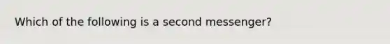 Which of the following is a second messenger?