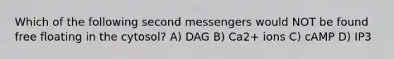 Which of the following second messengers would NOT be found free floating in the cytosol? A) DAG B) Ca2+ ions C) cAMP D) IP3