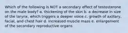 Which of the following is NOT a secondary effect of testosterone on the male body? a. thickening of the skin b. a decrease in size of the larynx, which triggers a deeper voice c. growth of axillary, facial, and chest hair d. increased muscle mass e. enlargement of the secondary reproductive organs