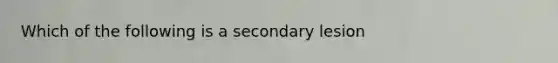 Which of the following is a secondary lesion