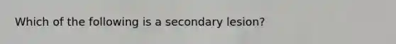 Which of the following is a secondary lesion?