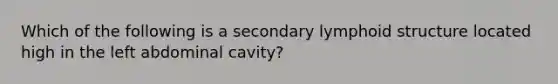 Which of the following is a secondary lymphoid structure located high in the left abdominal cavity?