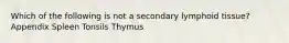 Which of the following is not a secondary lymphoid tissue? Appendix Spleen Tonsils Thymus