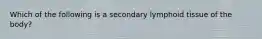 Which of the following is a secondary lymphoid tissue of the body?