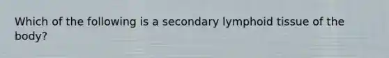 Which of the following is a secondary lymphoid tissue of the body?