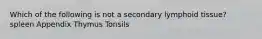 Which of the following is not a secondary lymphoid tissue? spleen Appendix Thymus Tonsils