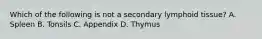 Which of the following is not a secondary lymphoid tissue? A. Spleen B. Tonsils C. Appendix D. Thymus