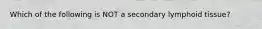 Which of the following is NOT a secondary lymphoid tissue?