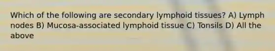 Which of the following are secondary lymphoid tissues? A) Lymph nodes B) Mucosa-associated lymphoid tissue C) Tonsils D) All the above