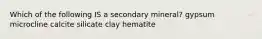 Which of the following IS a secondary mineral? gypsum microcline calcite silicate clay hematite