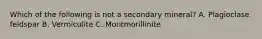 Which of the following is not a secondary mineral? A. Plagioclase feldspar B. Vermiculite C. Montmorillinite
