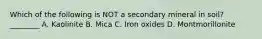 Which of the following is NOT a secondary mineral in soil? ________ A. Kaolinite B. Mica C. Iron oxides D. Montmorillonite