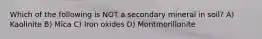 Which of the following is NOT a secondary mineral in soil? A) Kaolinite B) Mica C) Iron oxides D) Montmorillonite