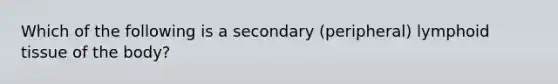 Which of the following is a secondary (peripheral) lymphoid tissue of the body?