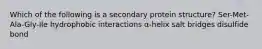 Which of the following is a secondary protein structure? Ser-Met-Ala-Gly-Ile hydrophobic interactions α-helix salt bridges disulfide bond