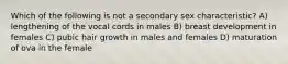 Which of the following is not a secondary sex characteristic? A) lengthening of the vocal cords in males B) breast development in females C) pubic hair growth in males and females D) maturation of ova in the female