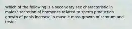 Which of the following is a secondary sex characteristic in males? secretion of hormones related to sperm production growth of penis increase in muscle mass growth of scrotum and testes