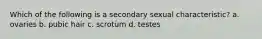 Which of the following is a secondary sexual characteristic? a. ovaries b. pubic hair c. scrotum d. testes