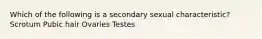 Which of the following is a secondary sexual characteristic? Scrotum Pubic hair Ovaries Testes