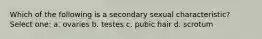 Which of the following is a secondary sexual characteristic? Select one: a. ovaries b. testes c. pubic hair d. scrotum