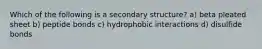 Which of the following is a secondary structure? a) beta pleated sheet b) peptide bonds c) hydrophobic interactions d) disulfide bonds