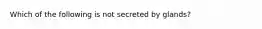 Which of the following is not secreted by glands?