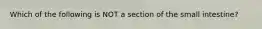 Which of the following is NOT a section of the small intestine?