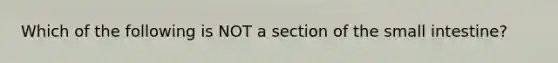 Which of the following is NOT a section of the small intestine?