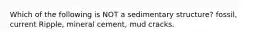 Which of the following is NOT a sedimentary structure? fossil, current Ripple, mineral cement, mud cracks.